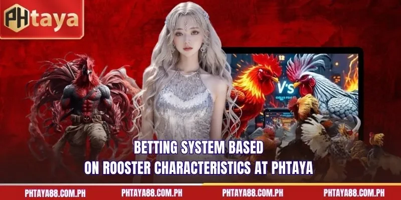 Betting system based on rooster characteristics at PHTAYA