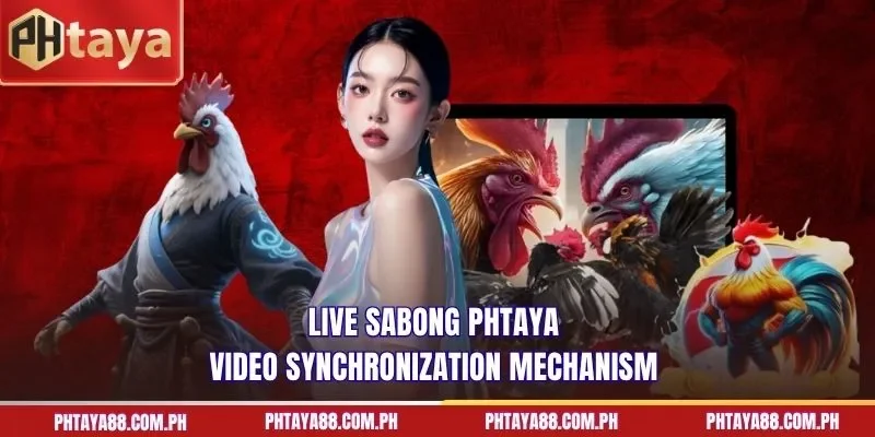 Live Sabong PHTAYA video synchronization mechanism