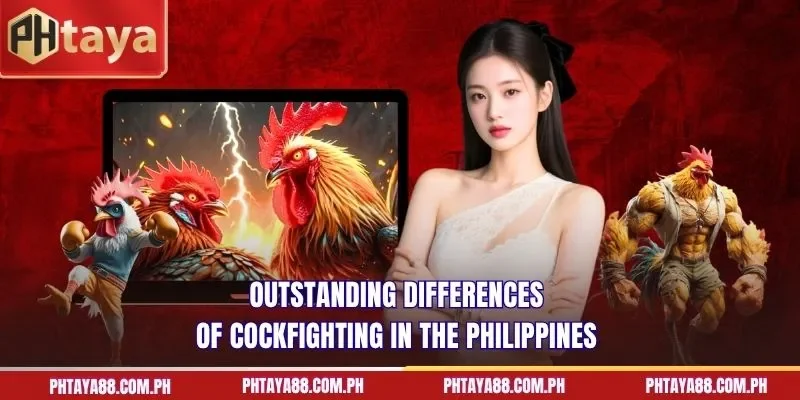 Outstanding differences of cockfighting in the Philippines