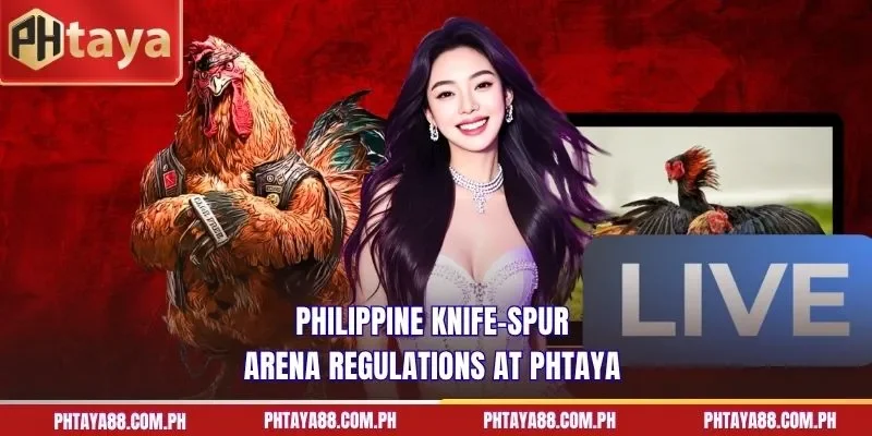 Philippine knife-spur arena regulations at PHTAYA