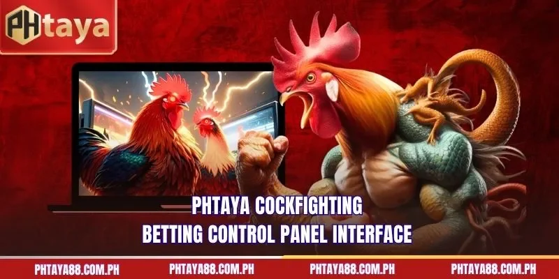 PHTAYA cockfighting betting control panel interface