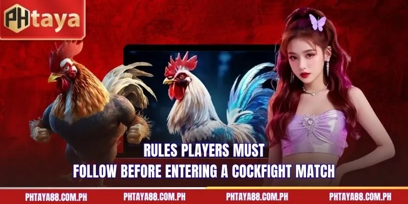 Rules players must follow before entering a cockfight match