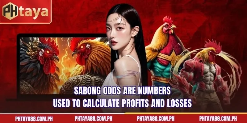  Sabong odds are numbers used to calculate profits and losses