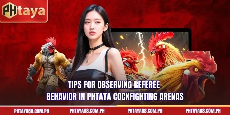 Tips for observing referee behavior in PHTAYA cockfighting arenas